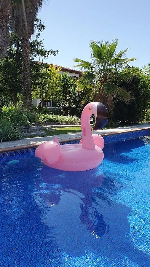 Casa Los Flamencos contacts